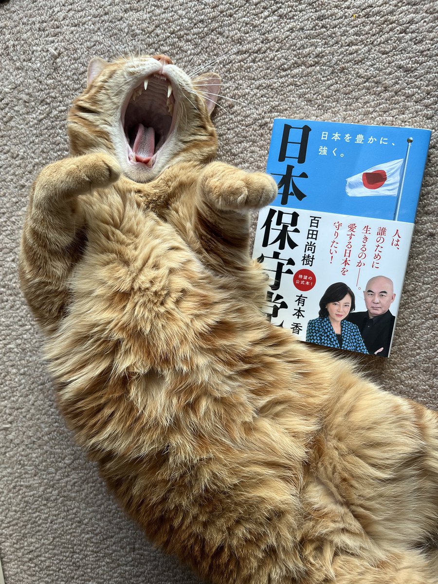 SAMURAI_HIGUMA's tweet photo. 一緒に
明るく仲良く前向きに
「日本を豊かに、強く。」
しませんか？🇯🇵✨️

#日本保守党員は全員相互フォロー 
#日本保守党 #保守党 #まさる部 #北海道支部 https://t.co/1lsmZzAlQ3
