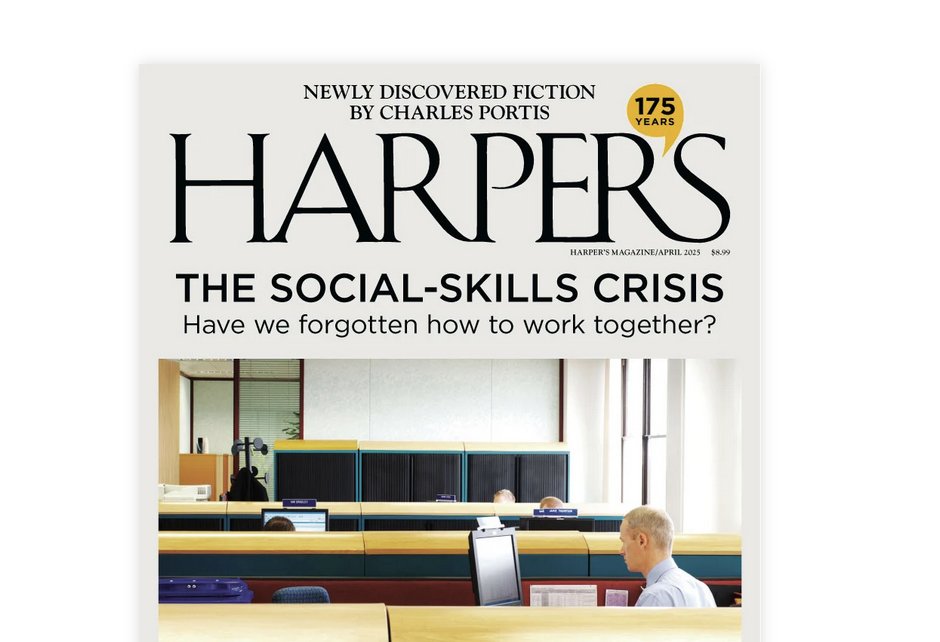 Lily Scherlis tweet media