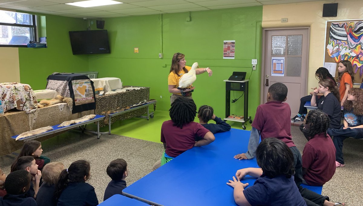 hsaddt's tweet photo. We were thrilled to have Wild Hearts African Farm visit our school and bring some amazing live wild animals for our students to learn about! Our students had the chance to see them up close and personally. 

#WildlifeEducation #HandsOnLearning #StudentExpe https://t.co/FRBd14TTq7