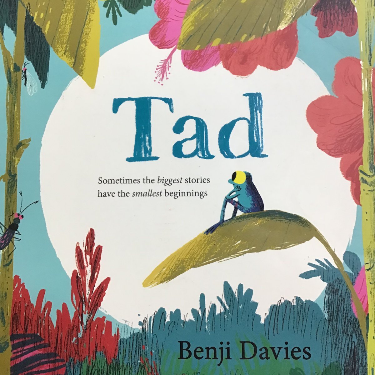 H_E_P_S's tweet photo. Cocklemoor have enjoyed observing the changes that the tadpoles are making as they grow! We are patiently waiting for them to grow legs! Our story, Tad, has allowed us to understand what will happen to the tadpoles in the future. #hepseyfs #hepsscience #hepsreading #hepshistory https://t.co/WY0KfYeXOf