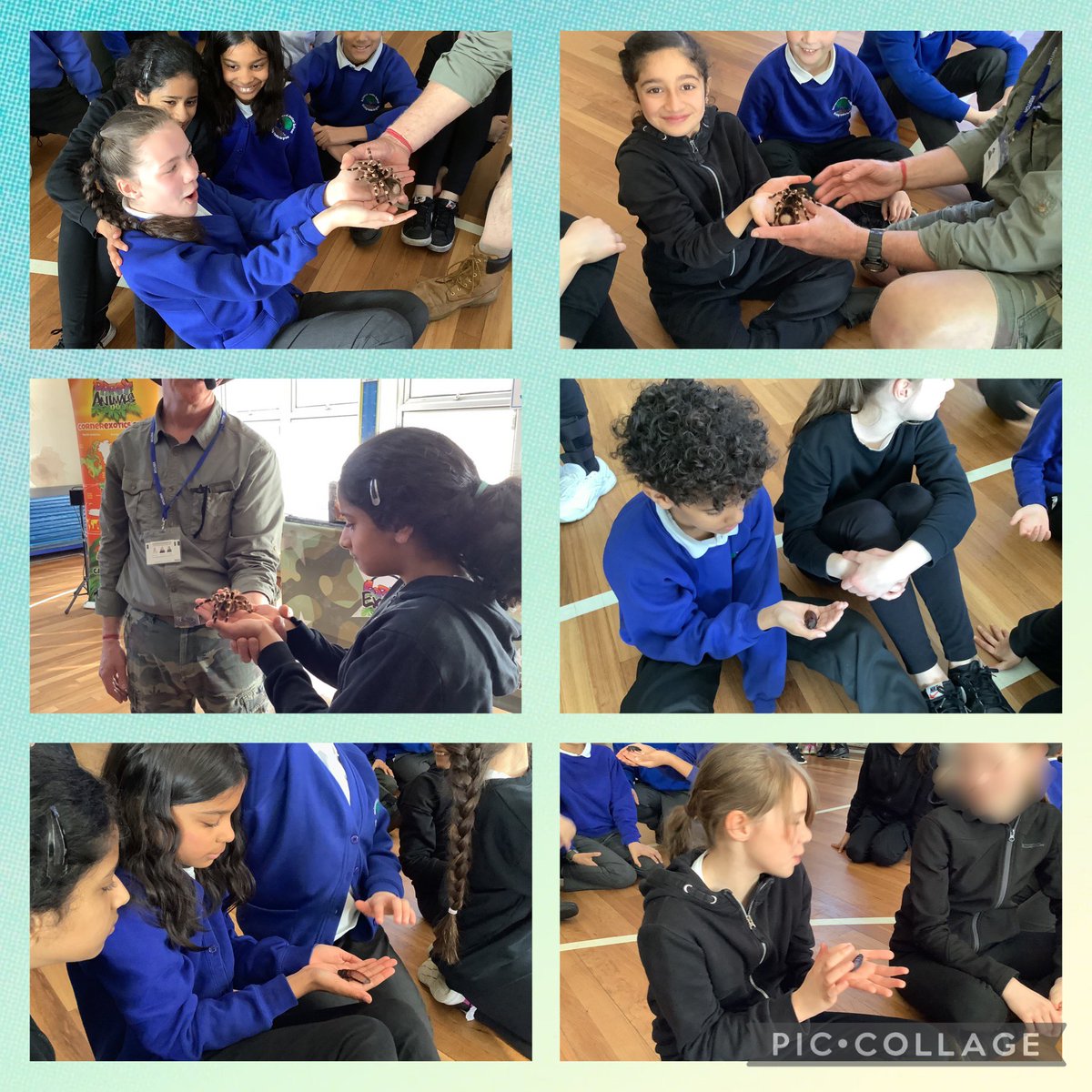 ReinwoodJuniors's tweet photo. #RJS5SH had the most amazing time with the animal man this morning learning all about the animals of the rainforest.
#RJSGeography https://t.co/oX3AfqI65P
