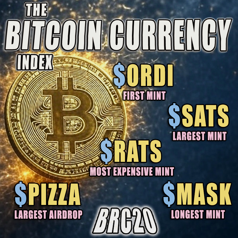 token cat 🐈 tweet media