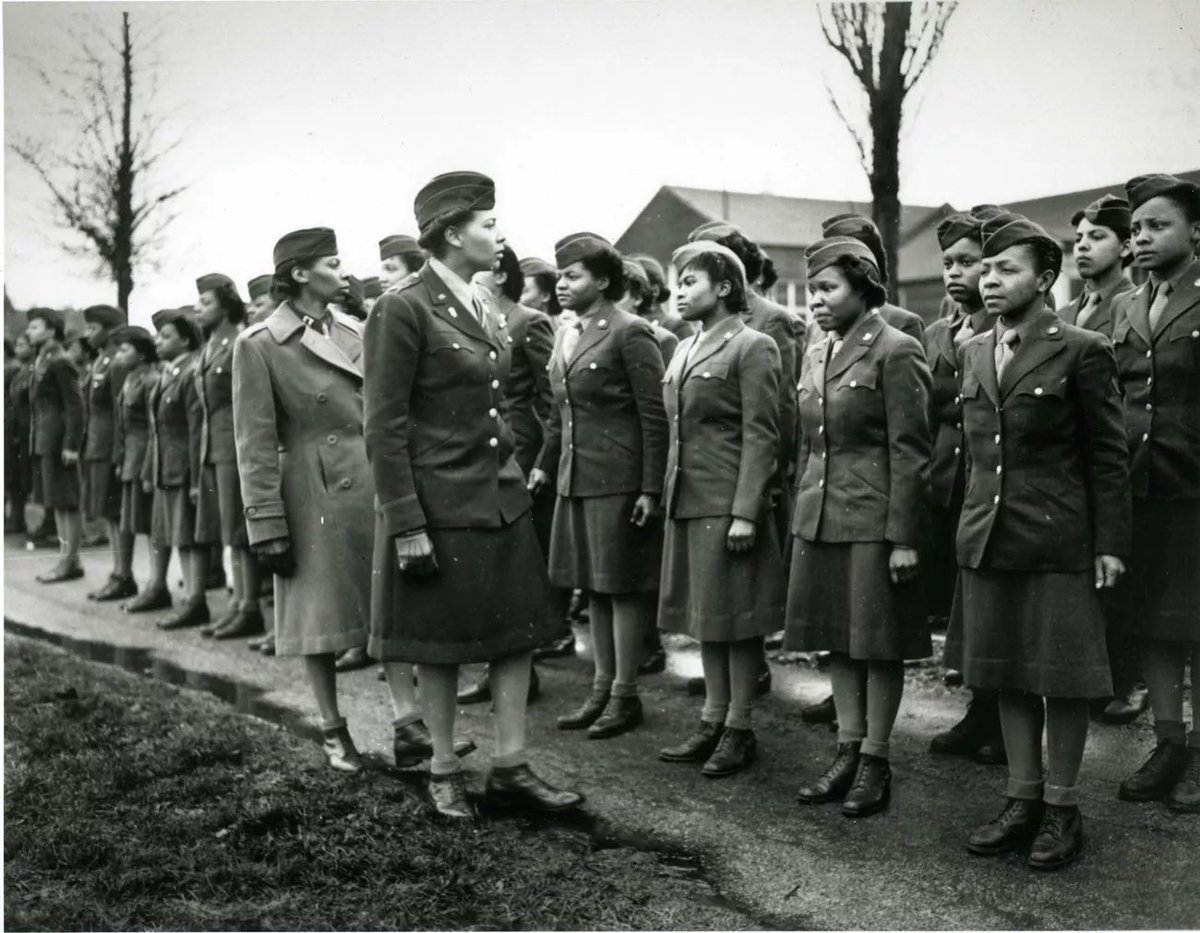 SenDuckworth's tweet photo. Another betrayal: Trump erased the legacy of the 6888th Central Postal Directory Battalion—the only all-Black, all-female Women's Army Corps unit to serve overseas during WWII.  Shame on Trump for burying their story. Women have always and will always answer the call to serve. https://t.co/M2AJE0yrNt