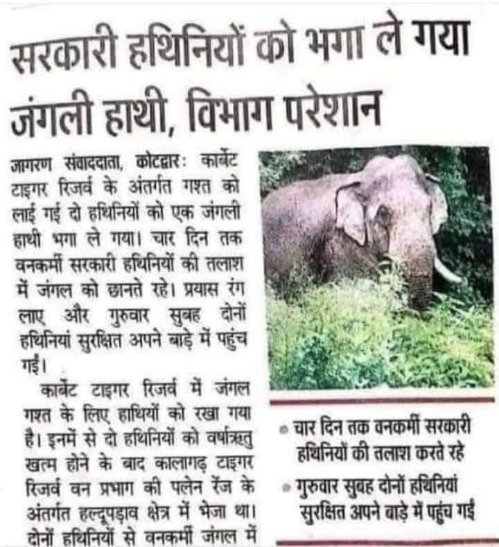 Saket Badola tweet media
