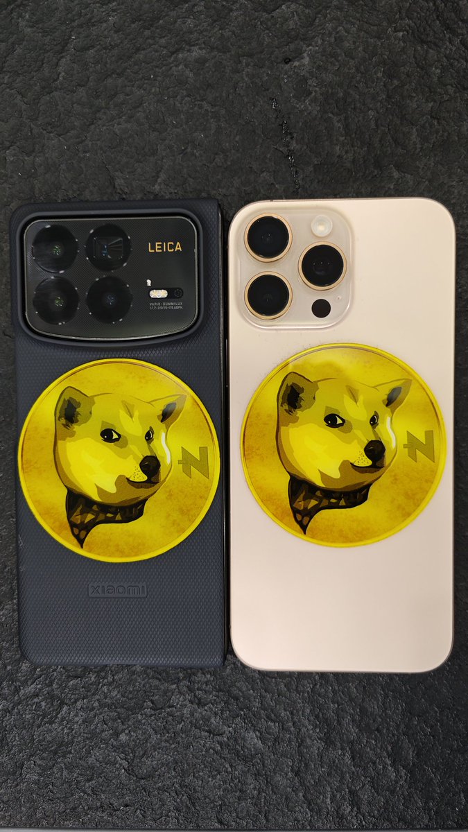0xPlayerOne 💛🐕 tweet media