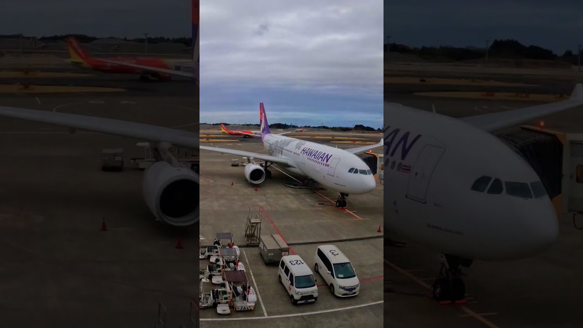 alojapan's tweet image. Hawaiian Air at Narita Airport, Japan ...
 
alojapan.com/1220072/hawaii…
 
#Chiba #ChibaDestinations #ChibaTour #ChibaTravel #ChibaTrip