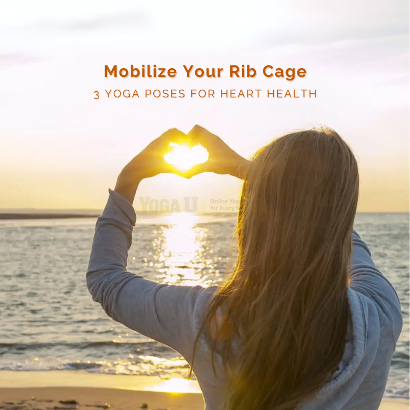 The ribcage is the structure that houses the heart.

Mobilizing the thoracic spine—the part of the spine that attaches to the ribcage—is an effective way to create spaciousness in this area, in turn enhancing the health of the heart and lungs.

yogauonline.com/yoga-practice-…