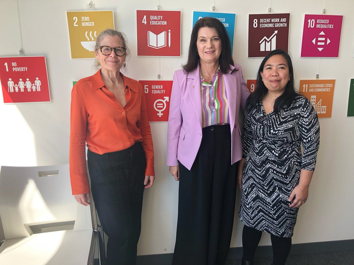 FEPS is in New York City for UN #NGOCSW69!🇺🇸 🇺🇳
♀️bit.ly/FFPCSW69

The Feminist Foreign Policy Progressive Voices Collective met with Prof. Anne Marie Goetz @amgoetz, member of the Collective and Professor at the Center of Global Affairs, <a href="/nyuniversity/">New York University</a> as part of FEPS’