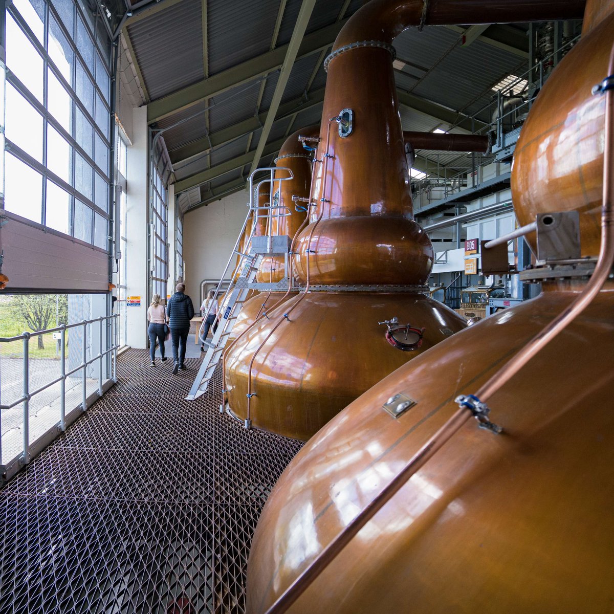 🥃✨ Whisky Wednesday ✨🥃

Did you know the #NorthCoast500 is home to some of Scotland's finest distilleries? From tastings to tours, there’s so much to explore! 

Discover the amazing distilleries along the NC500 on our website (🔗Link in bio).

📸📍Clynelish Distillery