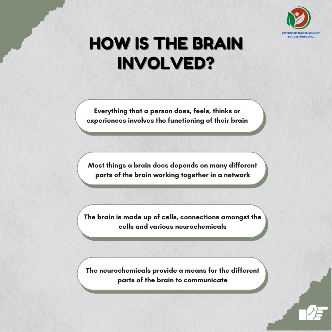 Psychosocial Development & Response Organisation tweet media