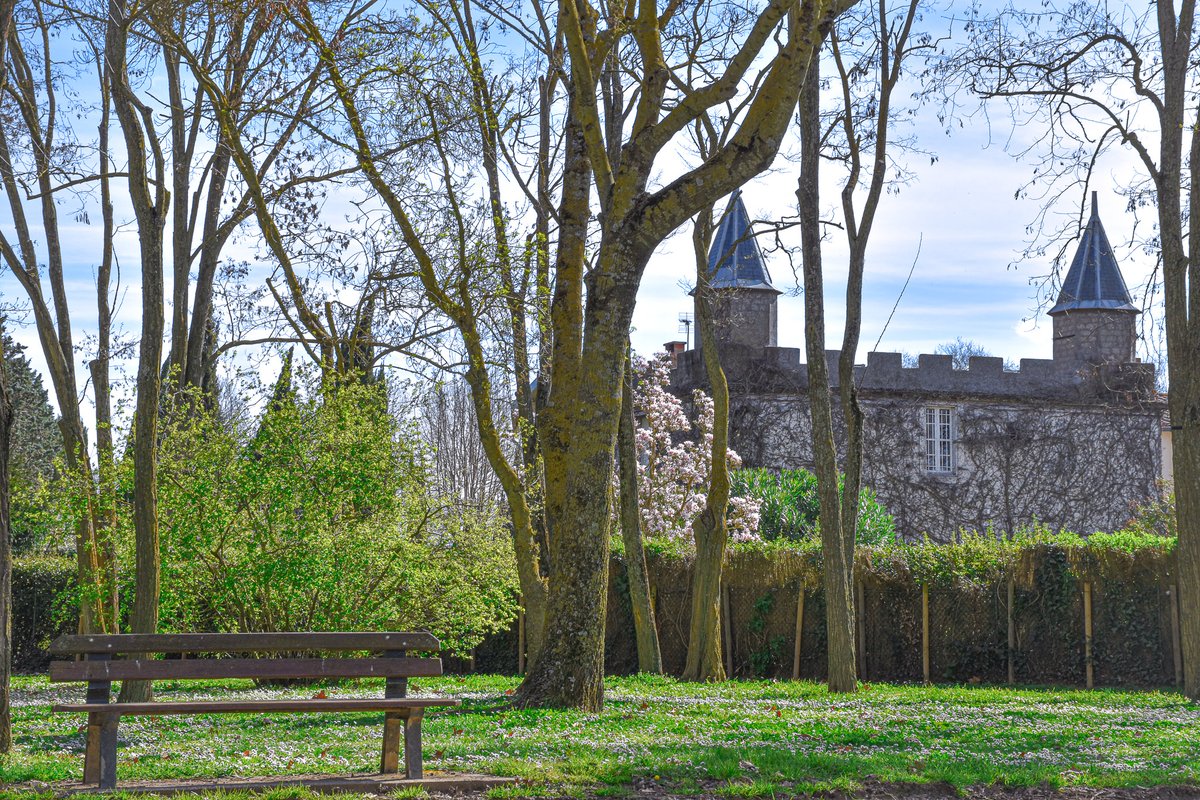 🌿🌸 #Carcassonne, entre nature &amp; histoire 🌸🌿

Flânez sur le Pont Vieux, admirez les fleurs 🌺 et laissez-vous charmer par la ville. Besoin de calme ? Direction l’Île de la Cité, un havre de paix ombragé. 🌳✨
tourisme-carcassonne.fr
#printemps #AudeTourisme #Occitanie