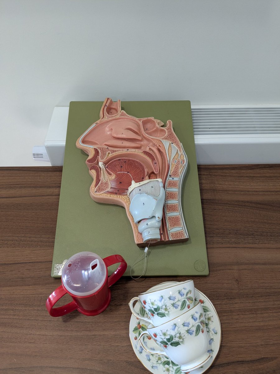 Half way through nutrition and hydration week and we are celebrating on the ward with afternoon tea and also recognising swallow awareness day #nhweek2025 #swallowaware2025