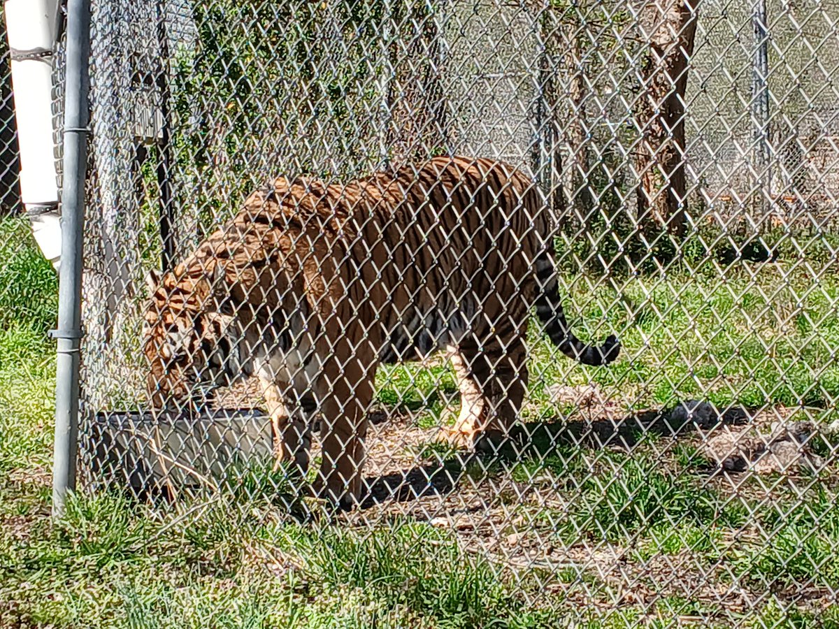 Ms.Waterman (She/Her) tweet media