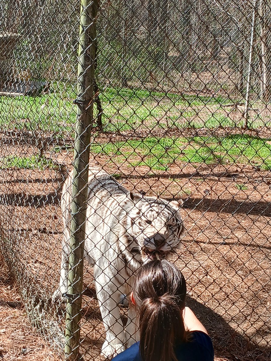 Ms.Waterman (She/Her) tweet media