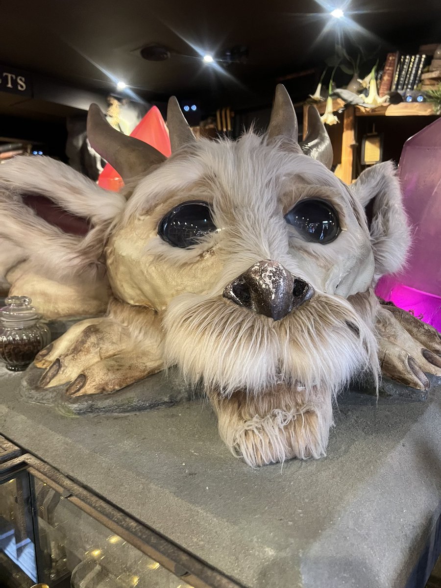 Samwilsondogs's tweet photo. A different kind of pal on my  visit to York this week. https://t.co/4HKdWxBGf1