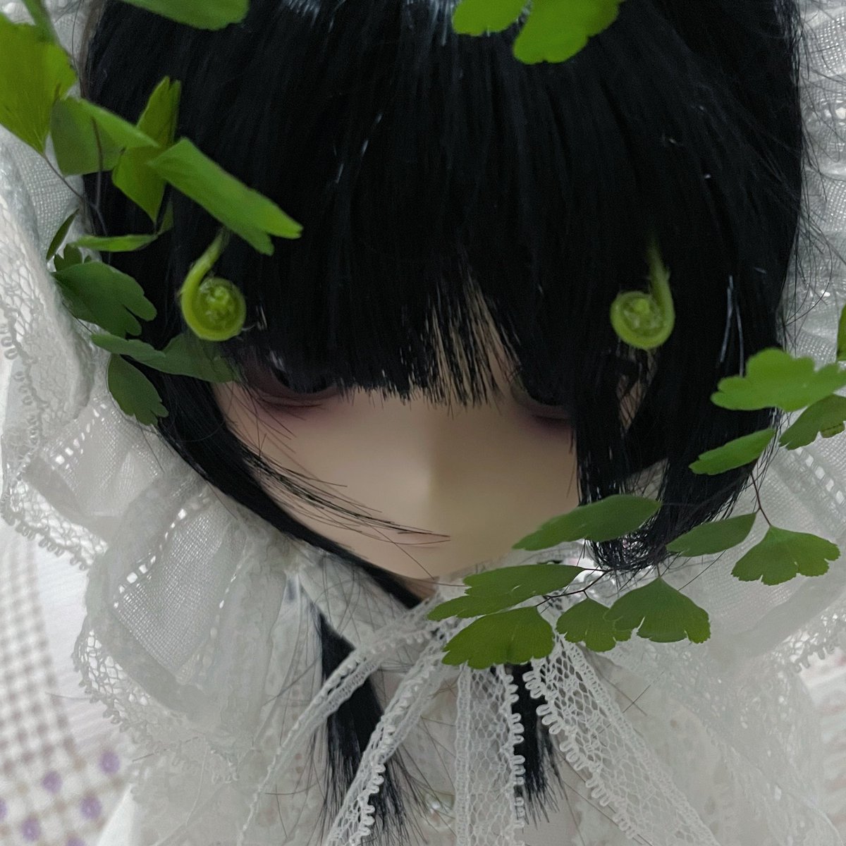 daniwanUWU's tweet photo. https://t.co/113xWpU47L