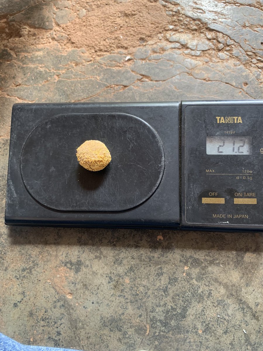 fresh_dude98's tweet image. I put the Gold on the scale and the figure was 21.2g
So on my calculator , 21.2 ÷ 0.8 =26.5 
So the gold weighs 26.5 and the price per 1gram is ₵1030 :.26.5 ×1030=27295
At the end of the day i have ₵27295
If you get degree kraa mpo aaaa😂😂😂😂😂😂