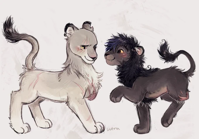 wanted to draw lions, gay lions 