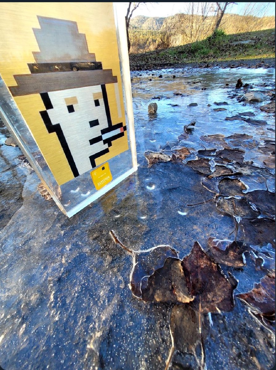 Hello #Art's  bitcoiners,
Ice starts to melt &amp; I glide over it like a figure skater
Thanks to <a href="/realblockart/">REAL BLOCK ART (R₿A) ◉▣🟧</a> team
Who have made me #Physical Since <a href="/Bitcoin_Punks_/">Bitcoin Punks</a> #Ordinals Collection, the first 1OK on #BTC
For as far as art on bitcoin will take us.
$BTC <a href="/SATSCHIP/">SATSCHIP™</a> <a href="/COLDCARDwallet/">COLDCARD</a>