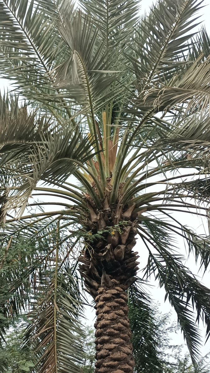 RiazUjjan72's tweet image. Drop a random photo from your gallery...
#NoCanalsOnIndus