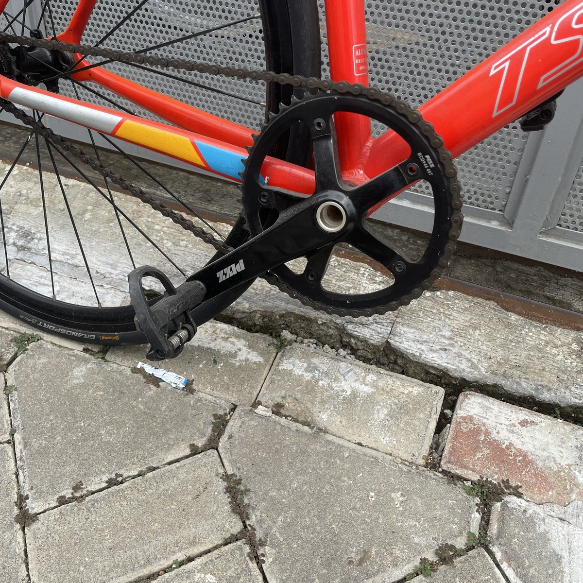 orang bumi tweet media