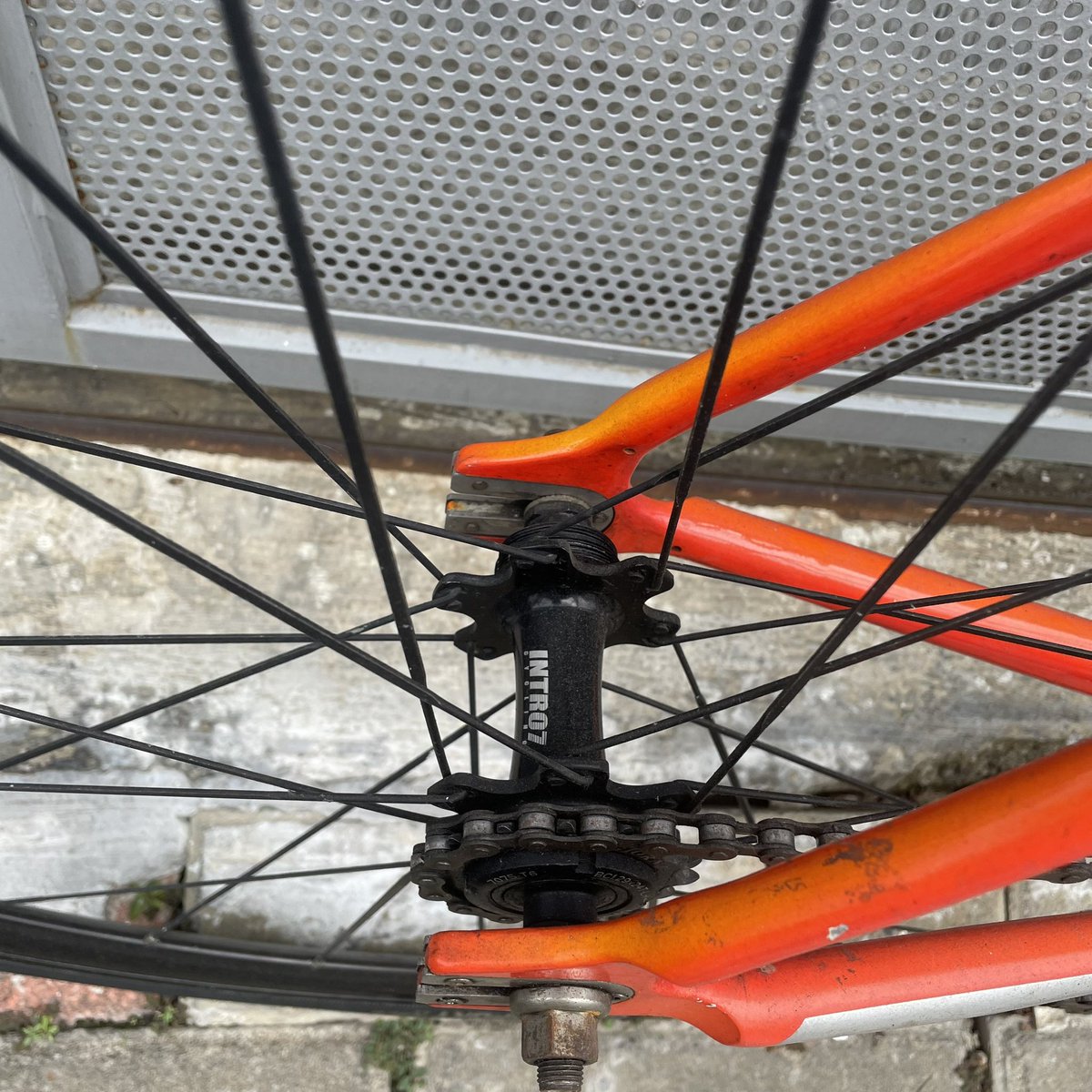 orang bumi tweet media