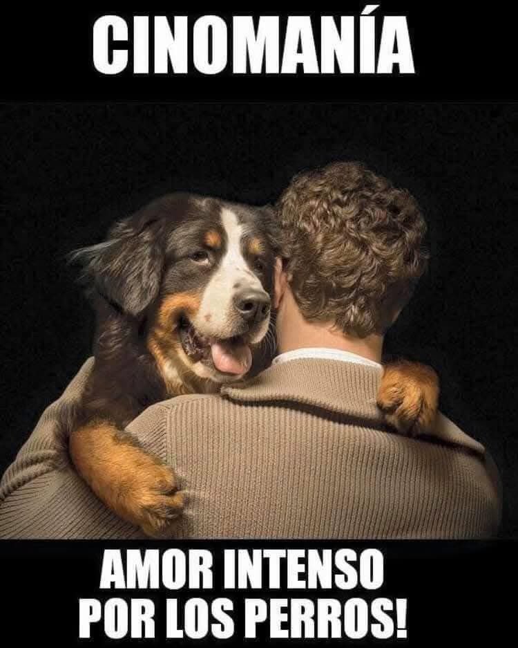 Fav ❤️ si tu también padeces de lo mismo.