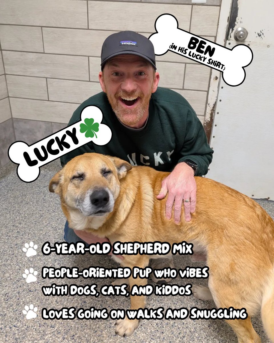 99.7 DJX (@997djx) on Twitter photo Ben wore his LUCKY shirt to hang out with your new bestie, Lucky! Meet our Wet Nose Wednesday star at <a href="/kyhumane/">KY Humane Society</a> 1000 Lyndon Lane today! <a href="/benandkellyshow/">Ben & Kelly Show</a> <a href="/bendavisradio/">Ben Davis</a> Ben wore his LUCKY shirt to hang out with your new bestie, Lucky! Meet our Wet Nose Wednesday star at <a href="/kyhumane/">KY Humane Society</a> 1000 Lyndon Lane today! <a href="/benandkellyshow/">Ben & Kelly Show</a> <a href="/bendavisradio/">Ben Davis</a>