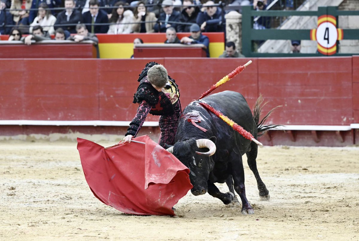Plaza de Toros de Valencia tweet media