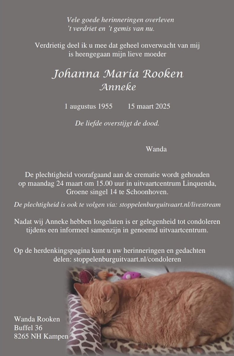 Wanda Rooken♿🚺 tweet media