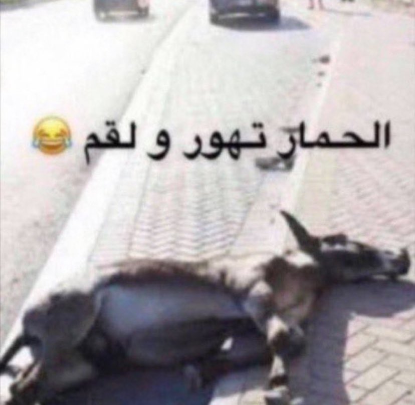 سعد راح يجاهد و مات