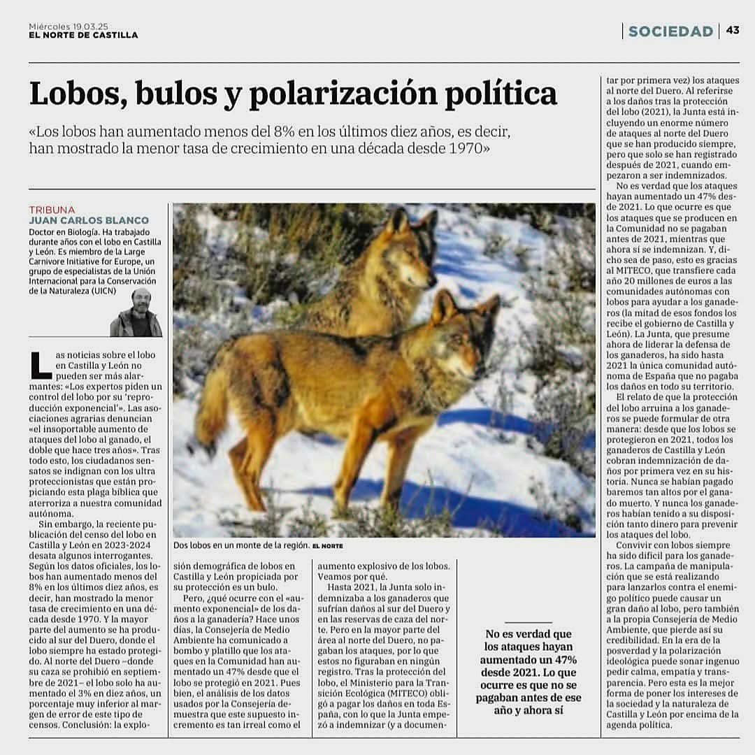 Marcoslrua's tweet image. Según el Dr en Biología Juan Carlos Blanco los datos oficiales que maneja la @jcyl sobre la supuesta explosión demográfica de la población de lobos propiciada por la protección de la especie el 21/09/2021 es un bulo junto al irracional aumento exponencial de los daños al ganado.
