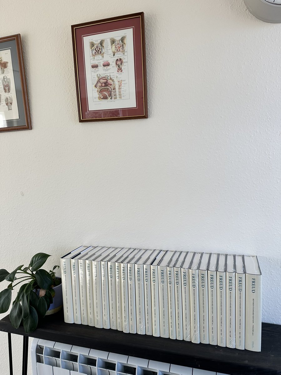 Stephen Somatics tweet media