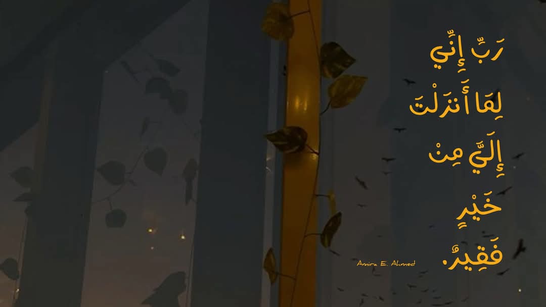 نُسَيبة (@nosaibayoussef) on Twitter photo 