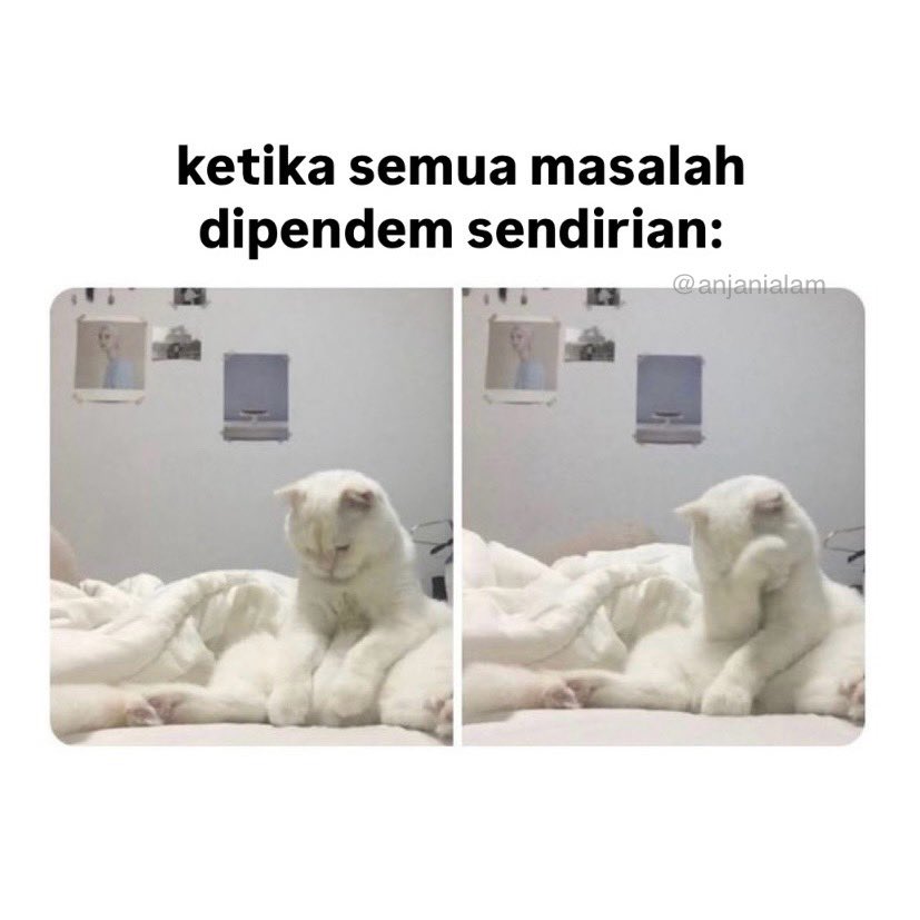 Jani tweet media
