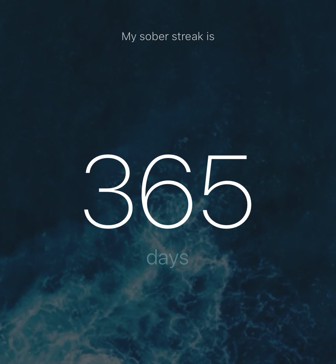 corale 🐱 tweet media