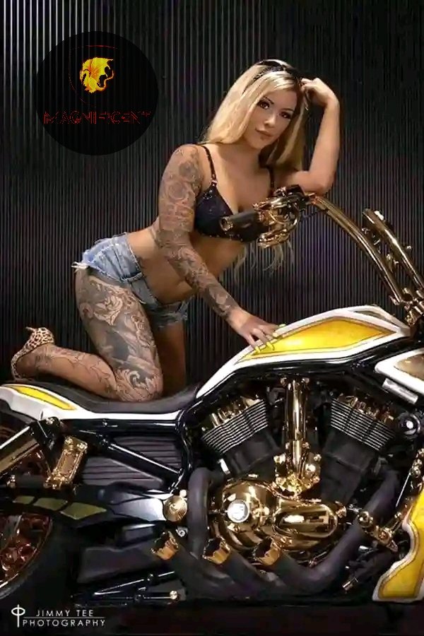 Magnificent Tv (@magnificent_t23) on Twitter photo 