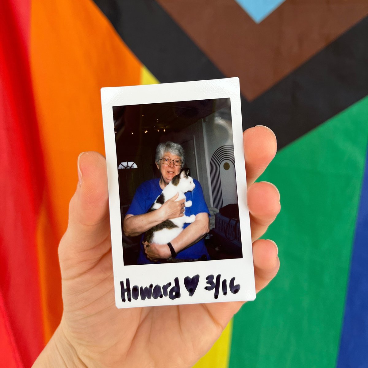 Adoption # 504...Howard! We had such a fun time hanging out with old man Howard during his time here. He brought everyone tons of joy to us and all our guests. We are so glad this special human felt a connection to him and decided to bring him home. Congrats Howard and family 🤍