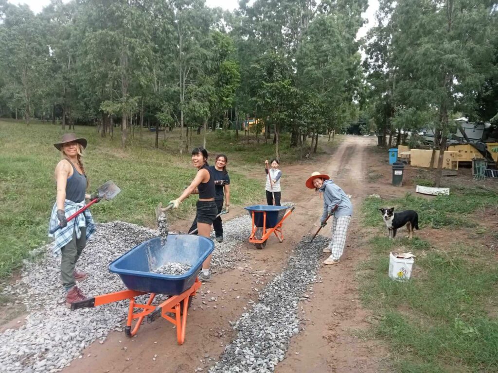 DISASTER RECOVERY GRANTS🚨📣

If your town was affected by a disaster between Jan 2019 &amp; Dec 2024, your NFP org could be eligible to apply for a Rebuilding Futures grant. But hurry, apps close Thu 3 April.

Learn more :👉ow.ly/LhFZ50VjEAF 

#CapacityBuilding #Grants #rural