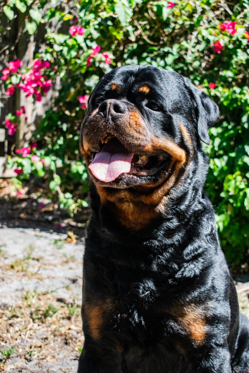 sulpheric's tweet image. Daughter playing around with her camera🙂