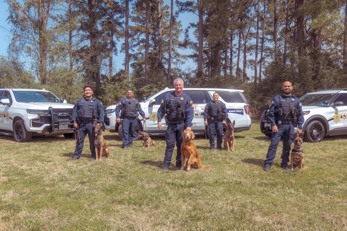 ConstableRosen's tweet photo. Precinct 1 K-9 photo day! Just like school picture day—only with more paws, wagging tails, and badges. Serving and protecting, one paw at a time! #K9Unit #Precinct1 #ProtectAndServe https://t.co/zSab60frLO