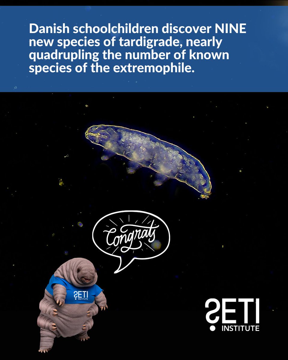 The SETI Institute (@setiinstitute) on Twitter photo Do you love tardigrades? We love tardigrades! And thanks to nearly 30,000 Danish schoolchildren and a citizen science project, we now have NINE new species of tardigrade to love. Congratulations!
smithsonianmag.com/science-nature… <a href="/SmithsonianMag/">Smithsonian Magazine</a> Do you love tardigrades? We love tardigrades! And thanks to nearly 30,000 Danish schoolchildren and a citizen science project, we now have NINE new species of tardigrade to love. Congratulations!
smithsonianmag.com/science-nature… <a href="/SmithsonianMag/">Smithsonian Magazine</a>