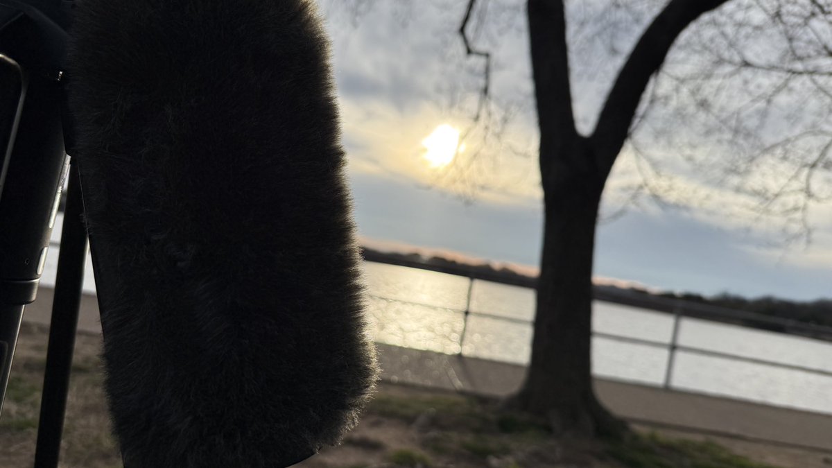 TheRealBigFuzzy tweet media