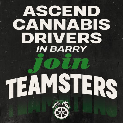 A win for the cannabis industry! <a href="/AscendHoldings/">AscendWellness</a>
The power of the cannabis industry is rooted in its people—the foundation of any thriving industry.
Coast to Coast Teamster Brothers &amp; Sisters Unite! 

“Cannabis delivery drivers are essential to the success of this industry,” said