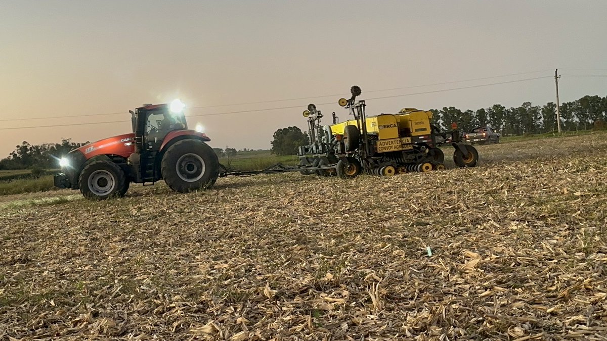 Greising y Elizarzú tweet media