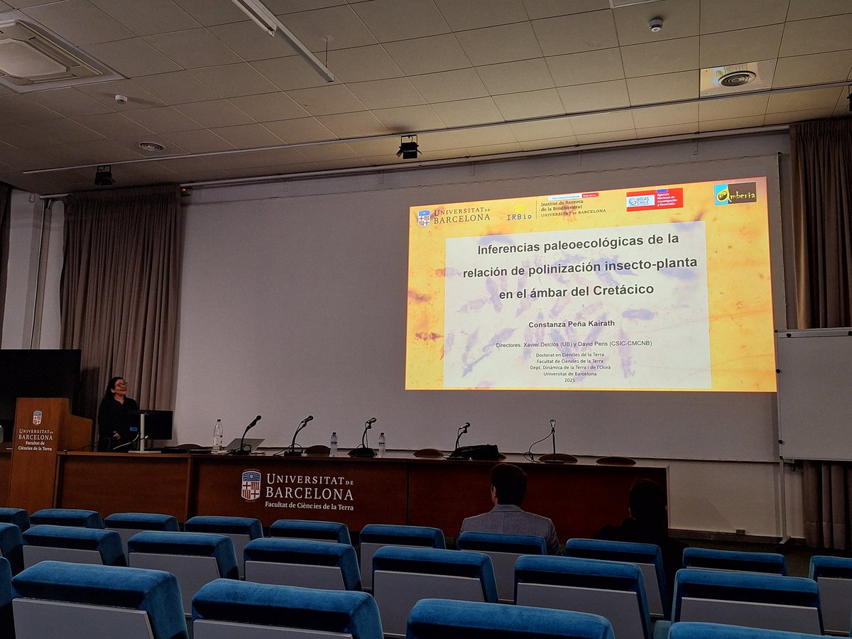 David Peris (@david_peris_) on Twitter photo <a href="/cooonaa/">Constanza</a> defended her PhD project today.
Congratulations for the Excellent grade!
Co-supervised with <a href="/xdelclos/">Xavier Delclos</a>
#LabPaleoecology <a href="/AmberiaResearch/">Amberia Research</a> <a href="/cooonaa/">Constanza</a> defended her PhD project today.
Congratulations for the Excellent grade!
Co-supervised with <a href="/xdelclos/">Xavier Delclos</a>
#LabPaleoecology <a href="/AmberiaResearch/">Amberia Research</a>