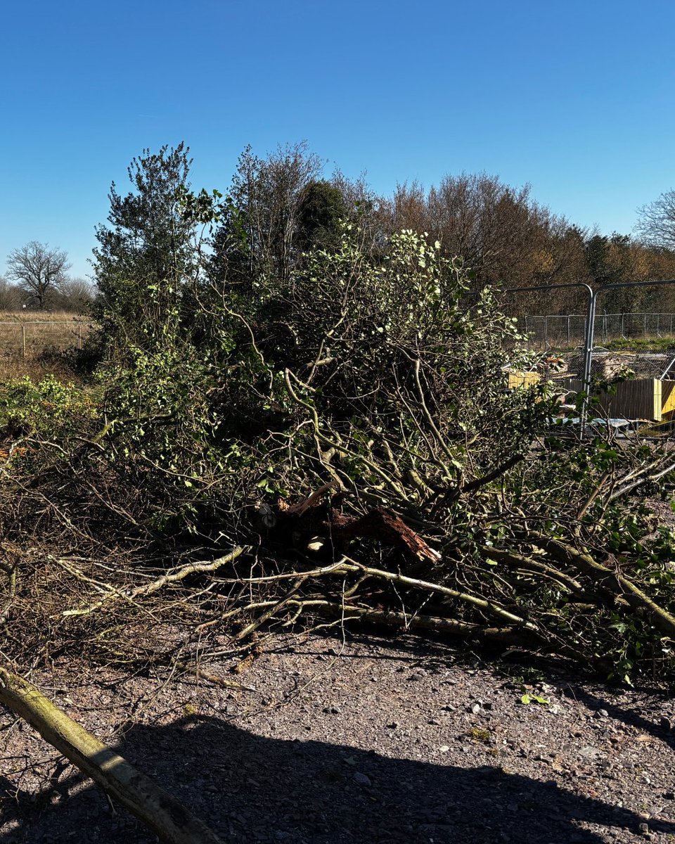 BossBeechwood's tweet image. Ensuring safety and environmental standards are met! ✅ Our Compliance Manager conducts a site audit as the team clears fallen trees and chips them responsibly. 🌿🌳

#ComplianceCheck #SiteAudit #EnvironmentalSafety #SustainableForestry #TreeClearing