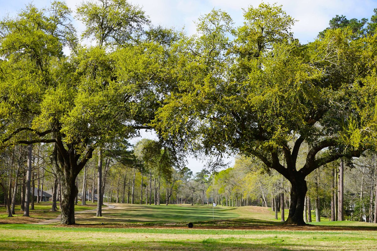 The Texas greens are calling 🌳

The #PanoramaJAS returns to Panorama Golf Club!