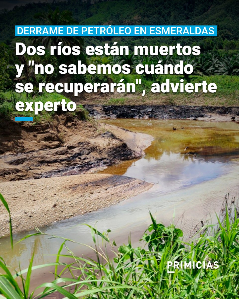 Eduardo Rebolledo es profesor investigador de la PUCE en Esmeraldas, donde reside desde hace 19 años, y explica la gravedad del reciente derrame de petróleo. prim.ec/fwxb50VkWW1