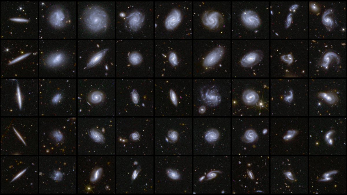 INAF - Istituto Nazionale di Astrofisica (@inaf_astro) on Twitter photo 💫 Con i nuovi dati di <a href="/ESA_Euclid/">ESA's Euclid mission</a> un’anteprima straordinaria di ciò che ci riserva il detective dell'universo oscuro 🕵 di <a href="/esa/">European Space Agency</a> con <a href="/ASI_spazio/">Agenzia Spaziale ITA</a> #INAF e <a href="/INFN_/">INFN</a>. Leggi il comunicato stampa: media.inaf.it/2025/03/19/euc… e l'approfondimento media.inaf.it/2025/03/19/euc… #euclid <a href="/ESA_Italia/">ESA_Italia</a> 💫 Con i nuovi dati di <a href="/ESA_Euclid/">ESA's Euclid mission</a> un’anteprima straordinaria di ciò che ci riserva il detective dell'universo oscuro 🕵 di <a href="/esa/">European Space Agency</a> con <a href="/ASI_spazio/">Agenzia Spaziale ITA</a> #INAF e <a href="/INFN_/">INFN</a>. Leggi il comunicato stampa: media.inaf.it/2025/03/19/euc… e l'approfondimento media.inaf.it/2025/03/19/euc… #euclid <a href="/ESA_Italia/">ESA_Italia</a>